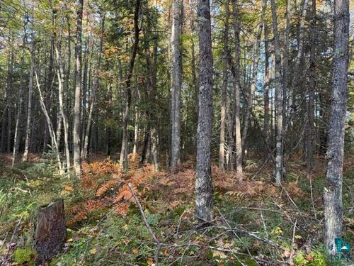 XXX S Brule River Rd, BRULE, WI, 54820 | Card Image