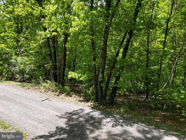 LOT 4 Yost Rd, Home with 0 bedrooms, 0 bathrooms and null parking in New Creek WV | Image 17