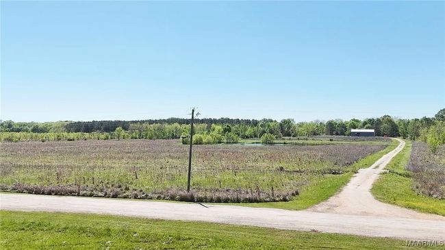 344 Dani Ln, Home with 0 bedrooms, 0 bathrooms and null parking in Mathews AL | Image 9