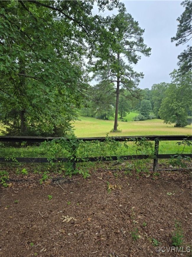 View from Backyard | Image 6