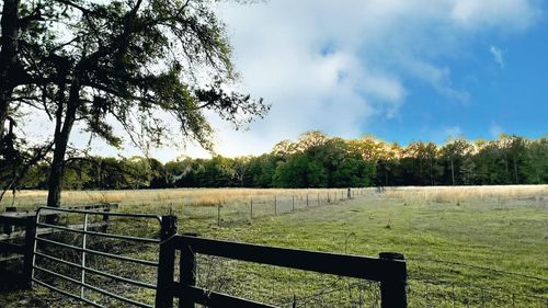 xx Fanlew Rd, Monticello, FL, 32344 | Card Image
