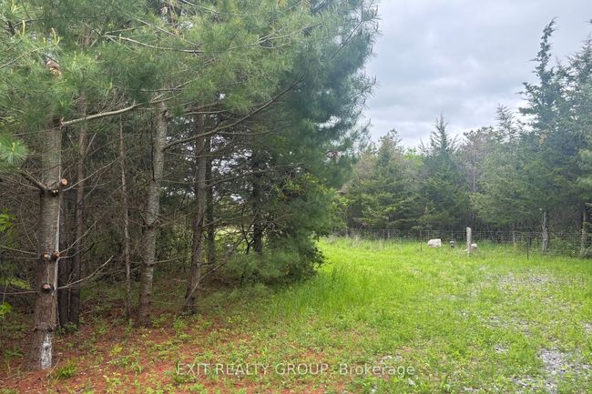 262 Johnston Rd, Home with 0 bedrooms, 0 bathrooms and null parking in Thomasburg ON | Image 7