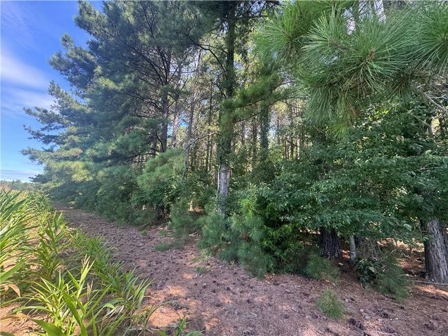 3 Rogers Rd, Home with 0 bedrooms, 0 bathrooms and null parking in Pendleton SC | Image 10