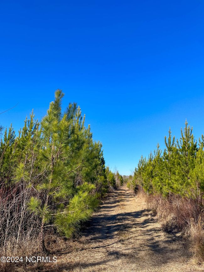 00 Sykes Town Rd, Home with 0 bedrooms, 0 bathrooms and null parking in Currie NC | Image 49