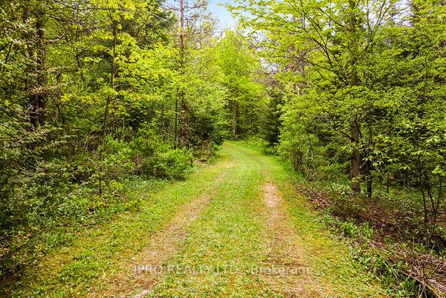 604102 Sideroad 60, House other with 3 bedrooms, 2 bathrooms and 8 parking in Berkeley ON | Image 28