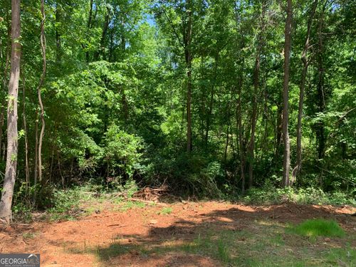 1200 Paxton Court, Watkinsville, GA, 30677 | Card Image