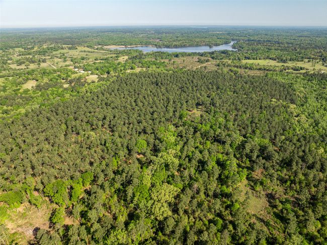 1 County Rd, Home with 0 bedrooms, 0 bathrooms and null parking in Leesburg TX | Image 27
