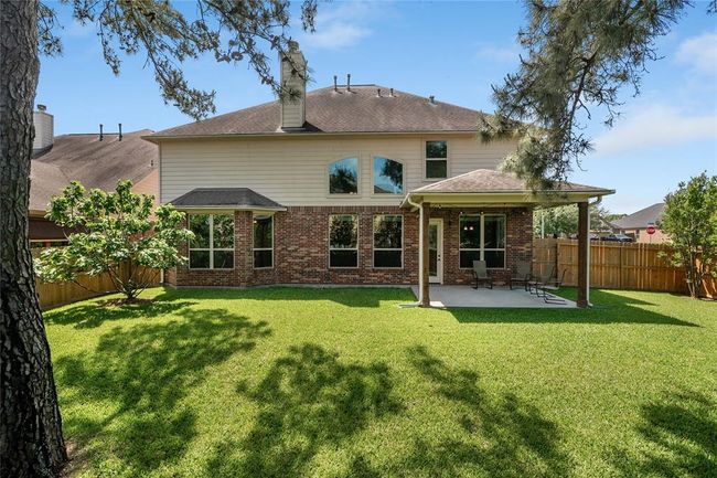 Picturesque backyard with an amazing fig tree to enjoy once a year from your own yard. Big enough to build your own private pool! | Image 36