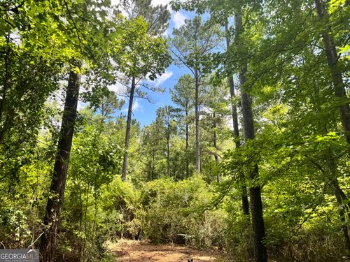 13.4+/- AC Johnson Rd, Hogansville, GA, 30230 | Card Image