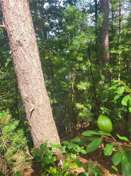 Lot 2 Betty Ln, Black River Falls, WI, 54615 | Card Image