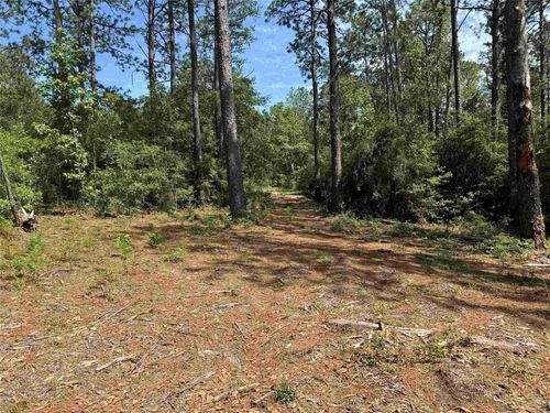 565 Sparkleberry, Brookeland, TX, 75931 | Card Image