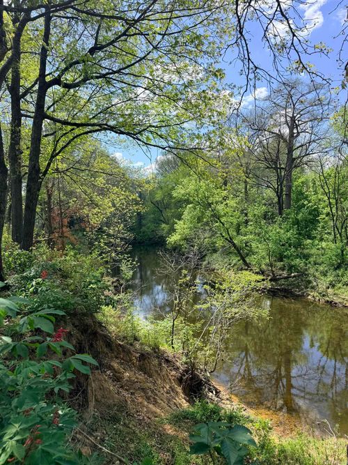 lot-19a-river-creek-estat-000 Sunshine, Pangburn, AR, 72121 | Card Image