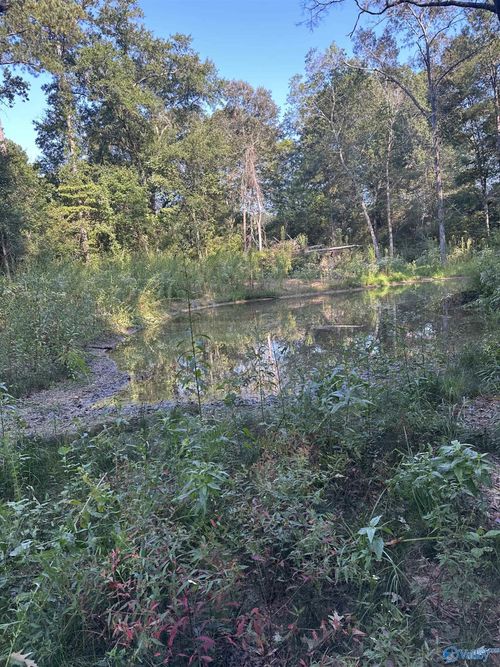 135 Maddox Rd, Piedmont, AL, 36272 | Card Image