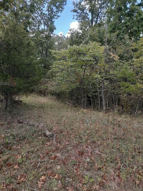 Lot 15 Apple Ln, Cynthiana, KY, 41031-6697 | Card Image
