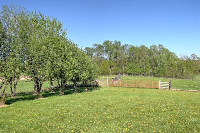 Fencing for livestock. | Image 44