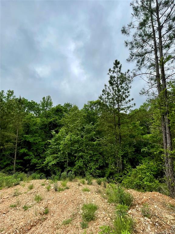 Land in Broken Bow 3