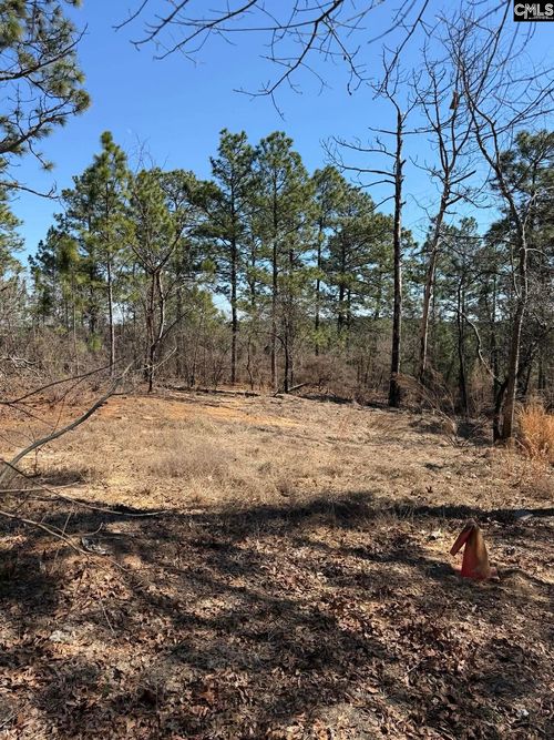 288 Straightaway Ln, Gaston, SC, 29053-9225 | Card Image