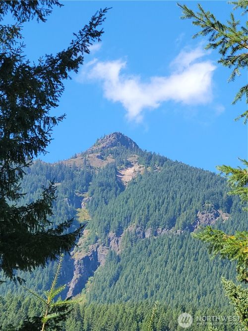 113 Cottonwood Ln, Packwood, WA, 98361-9740 | Card Image