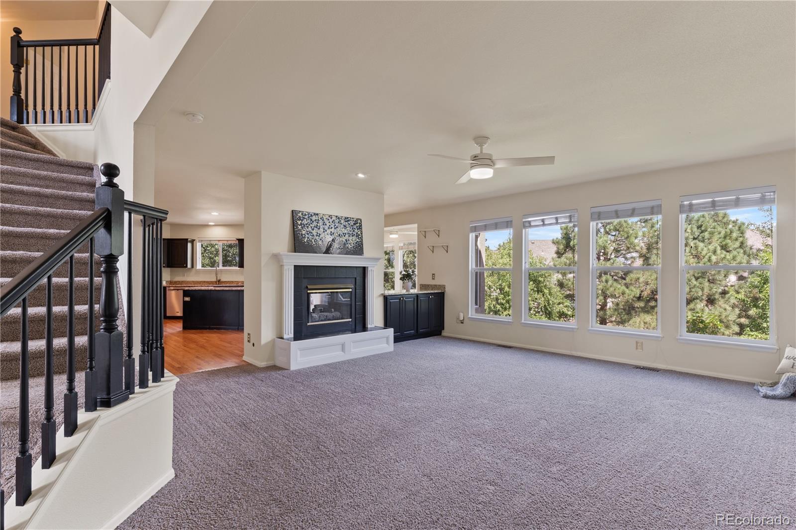 Residential in Colorado Springs 4
