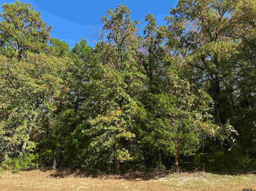 8714 Wilder Trl, Tyler, TX, 75703 | Card Image