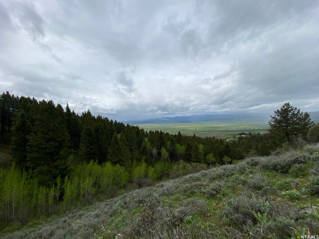 View of local wilderness with a mountain view | Image 42