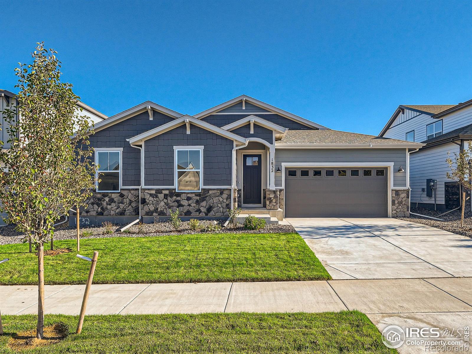 Golden Sun Dr, Windsor, CO 80550