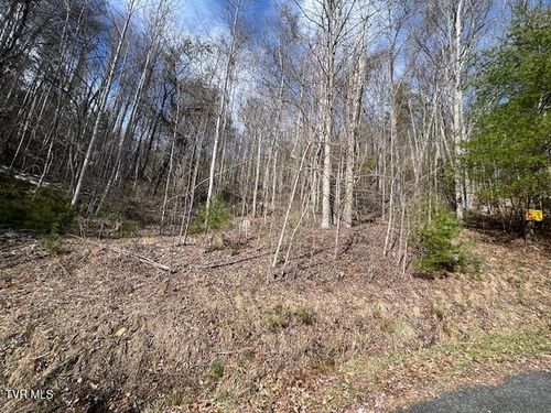 Tbd Callalantee Dr, Mountain City, TN, 37683 | Card Image