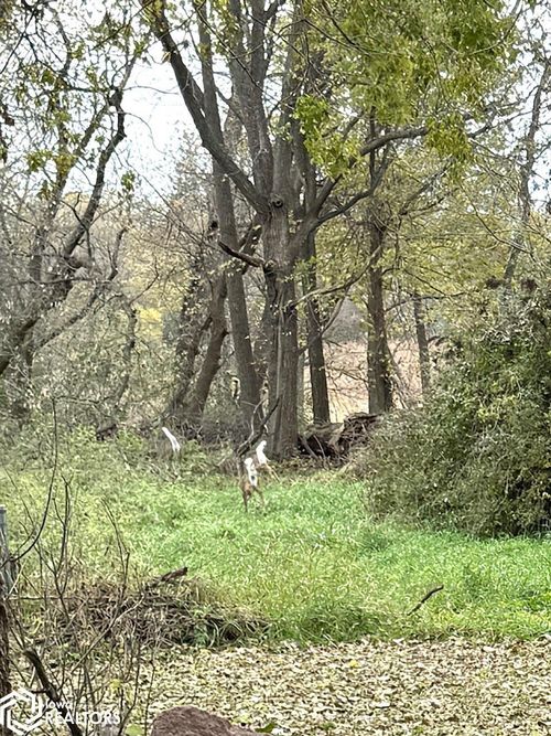 901 2nd Ave S, Northwood, IA, 50459-1703 | Card Image