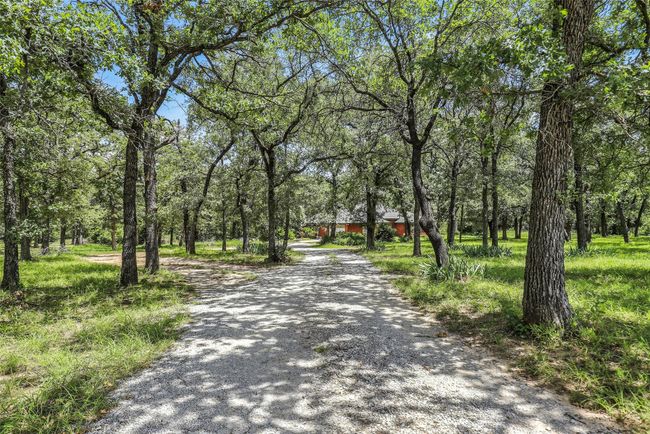 Driveway to the house | Image 4