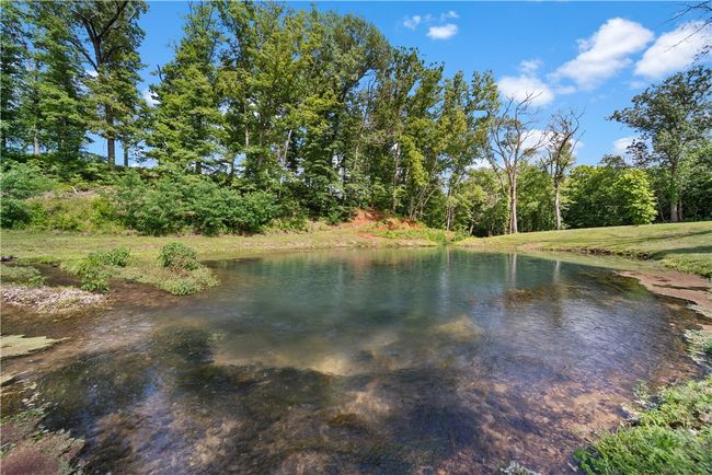 Stillhouse Spring pond-amenity area | Image 7