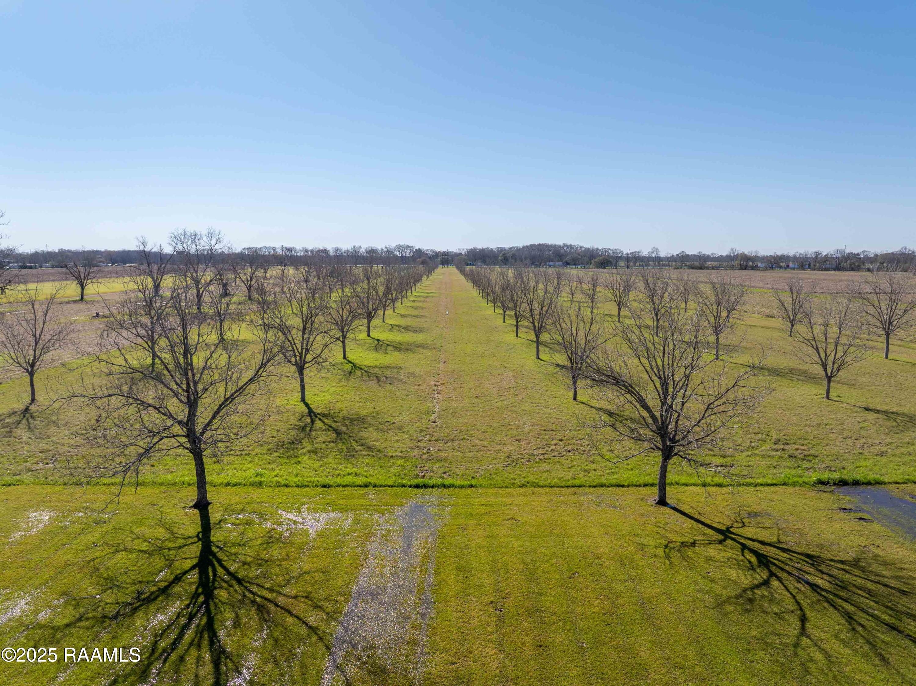Land in Breaux Bridge 5