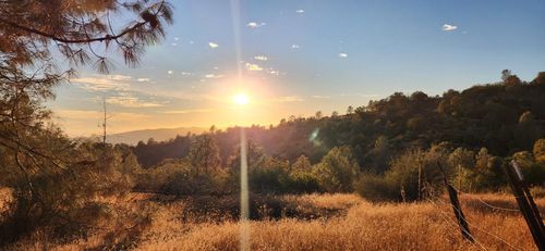 4346 Yellow Pine Hill, Mariposa, CA, 95338 | Card Image