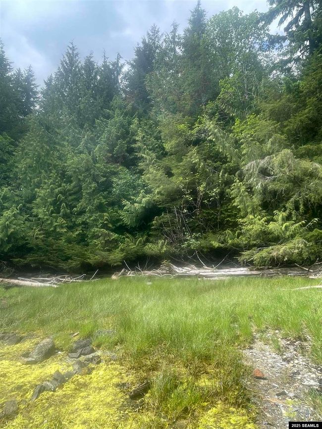 LOT-2-BLOCK-1 - NHN Legal Address Only, Home with 0 bedrooms, 0 bathrooms and null parking in Ketchikan AK | Image 15