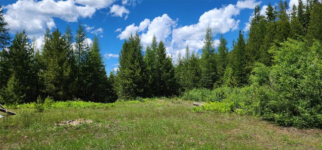 14463 Libby Creek Rd, Home with 0 bedrooms, 0 bathrooms and null parking in Libby MT | Image 6
