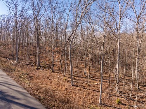 2832 Morgan Lake Dr, Innsbrook, MO, 63390-6440 | Card Image