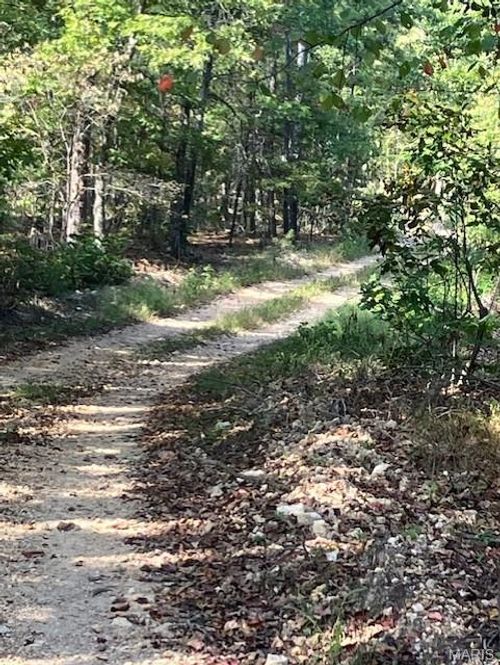 118 Madison St, Fredericktown, MO, 63645 | Card Image