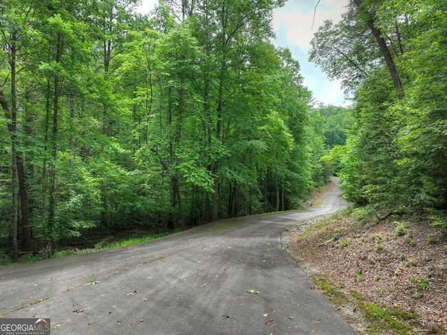 LTS 5, 6, 7 Mountain Springs Rd, Home with 0 bedrooms, 0 bathrooms and null parking in Ellijay GA | Image 21