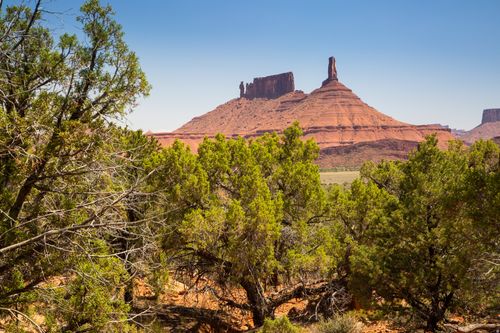 343-343 Taylor Ln, Castle Valley, UT, 84532 | Card Image