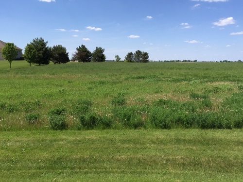 17402 Wildflower Circle, Union, IL, 60180 | Card Image