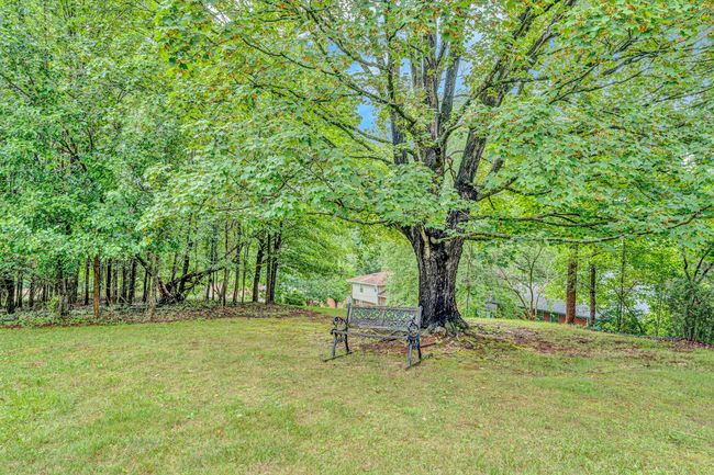 Beautiful Back Yard | Image 25