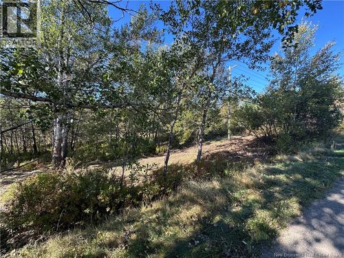 4 Rte 124, Norton, NB, E5T4Z1 | Card Image