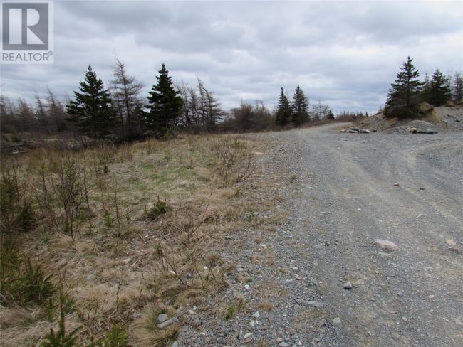 45 New Line Road, Home with 0 bedrooms, 0 bathrooms and null parking in Colliers NL | Image 47