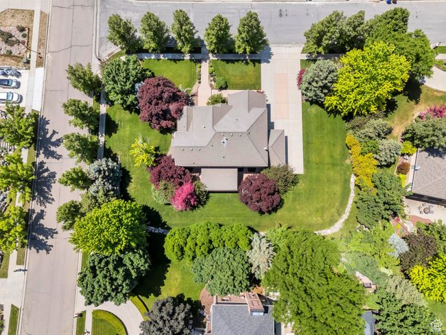 Drone / aerial view | Image 37