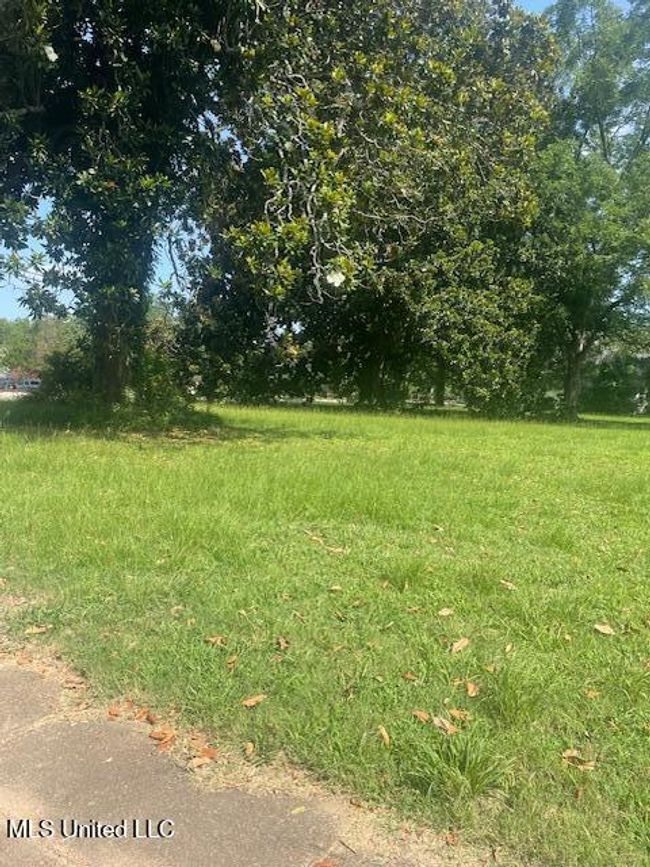 Sycamore 3 | Image 4