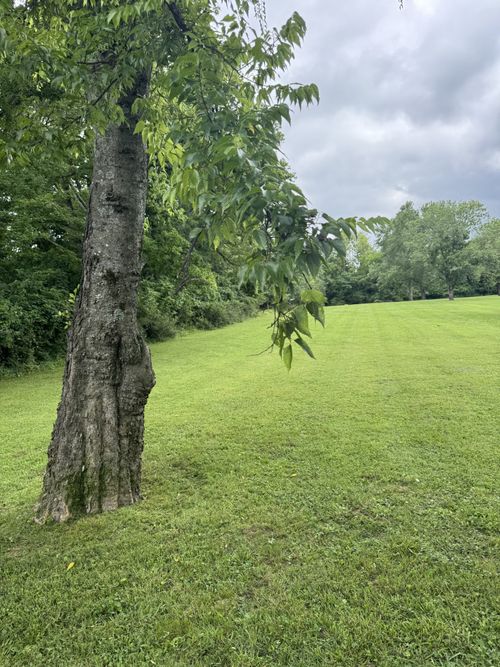 107 Tyne Bay Dr, Hendersonville, TN, 37075 | Card Image