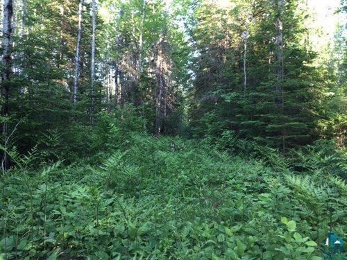 1XXX Camp 20 Rd, Hovland, MN, 55606 | Card Image