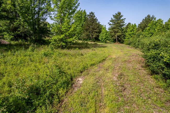 0 Johnson Rd, Home with 0 bedrooms, 0 bathrooms and null parking in Winona TX | Image 39