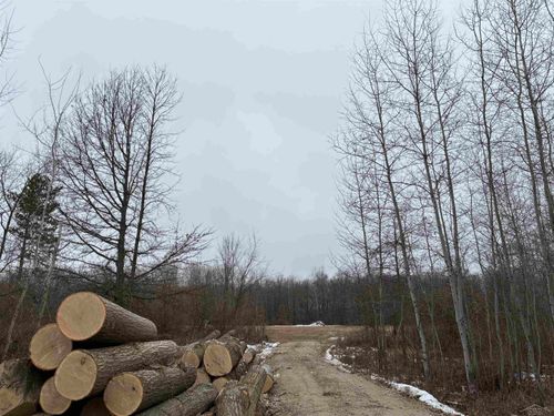 12964 Sheridan Rd, Burt, MI, 48417 | Card Image