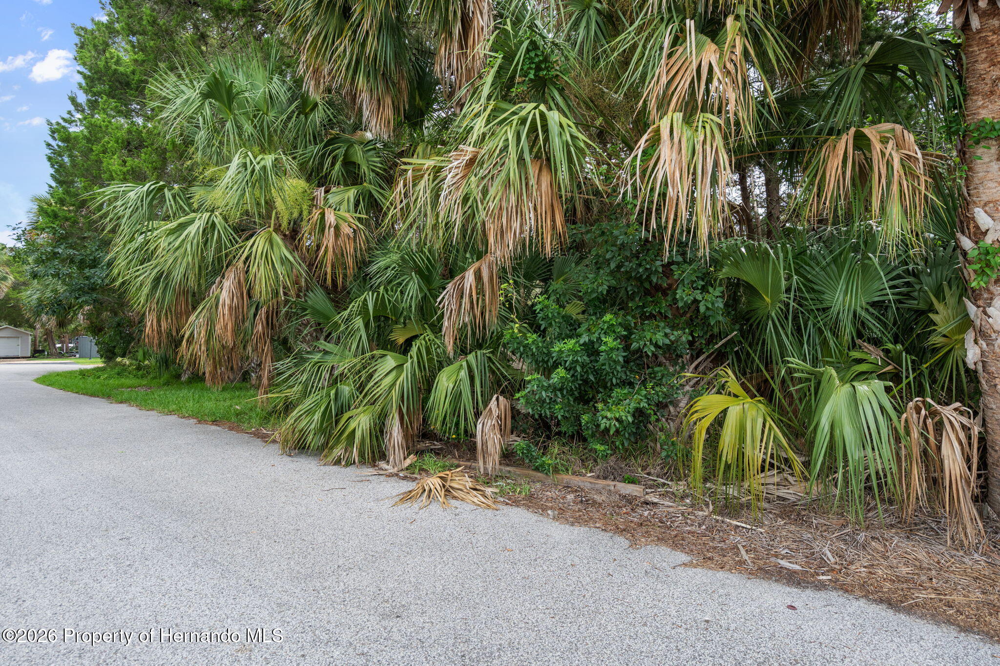 Land in Weeki Wachee 2
