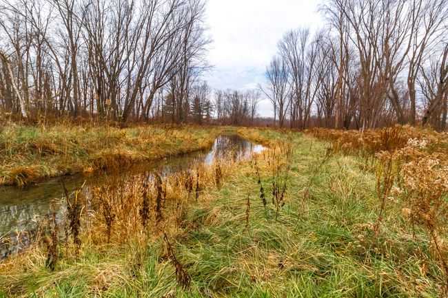 Bottom Creek | Image 8